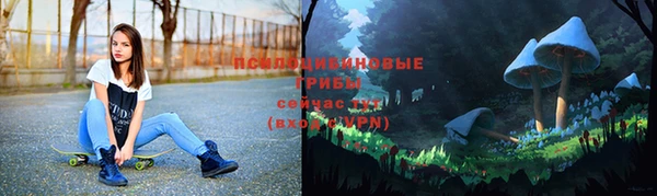 амф Алзамай