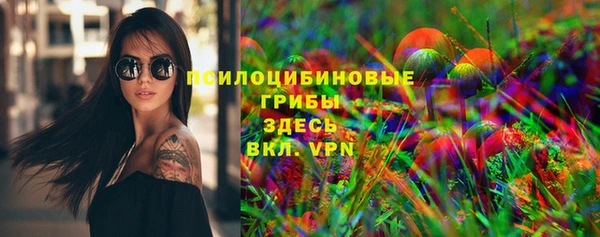 сатива Алексеевка