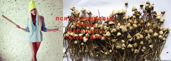 амф Алзамай